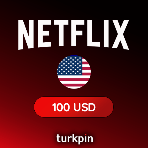 Netflix USA 100 USD